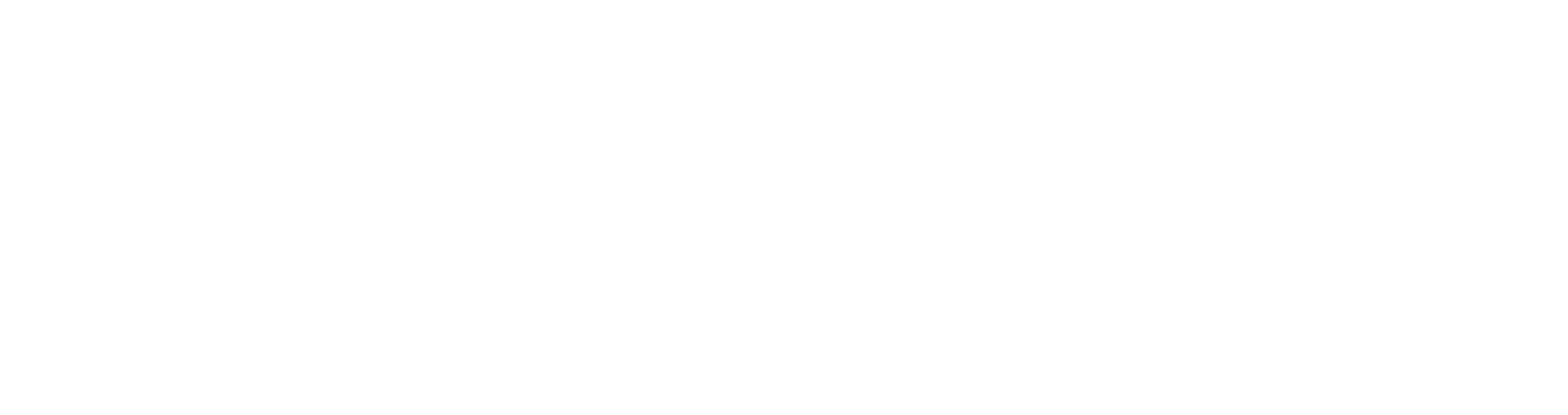 Shadow Ventures logo